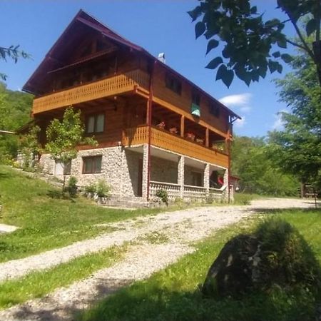 Pensiunea Simina Viseu de Jos Dış mekan fotoğraf