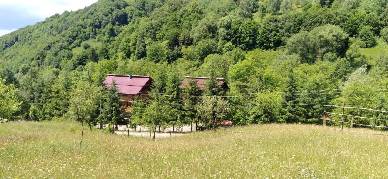 Pensiunea Simina Viseu de Jos Dış mekan fotoğraf