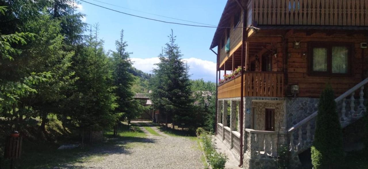 Pensiunea Simina Viseu de Jos Dış mekan fotoğraf