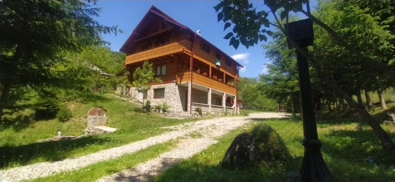 Pensiunea Simina Viseu de Jos Dış mekan fotoğraf