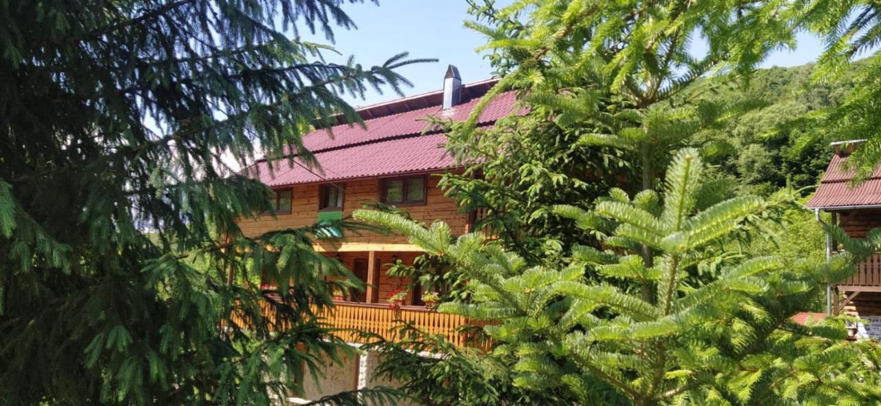 Pensiunea Simina Viseu de Jos Dış mekan fotoğraf