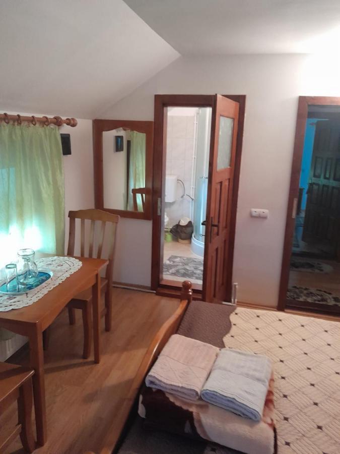Pensiunea Simina Viseu de Jos Dış mekan fotoğraf