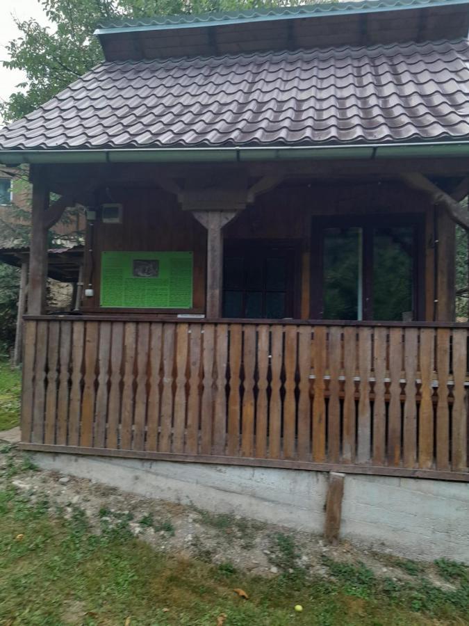 Pensiunea Simina Viseu de Jos Dış mekan fotoğraf